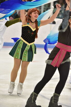 2025 State Figure Skating Championships