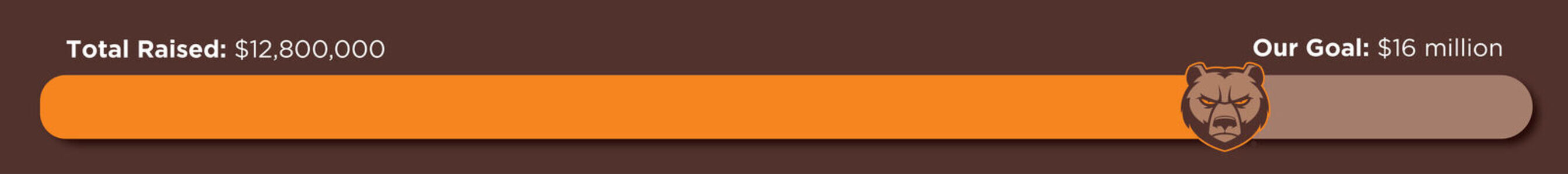 Campaignthermometertracker23