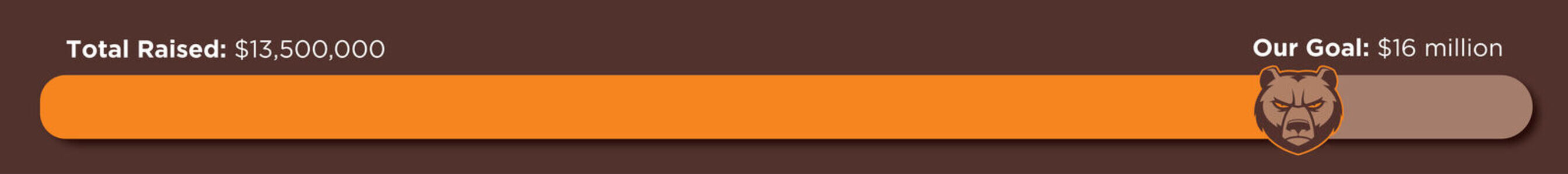 Campaignthermometertracker33