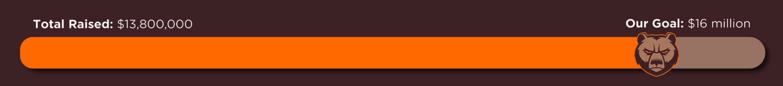 Campaignthermometertracker4