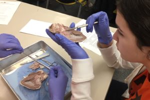 MedTrack Field Trip to Natural History Museum
