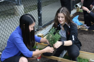 Gardening Club Shows off Green Thumb