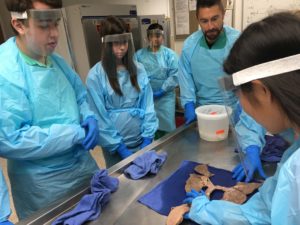 MedTrack Students Tour Cleveland Clinic