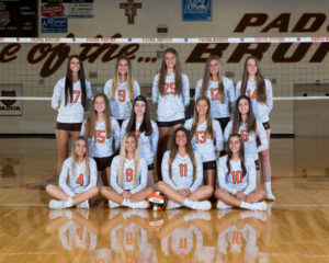 Volleyball Finishes as Division I State Runners-Up