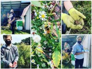 Padua's Garden Becomes Registered Saint Kateri Habitat