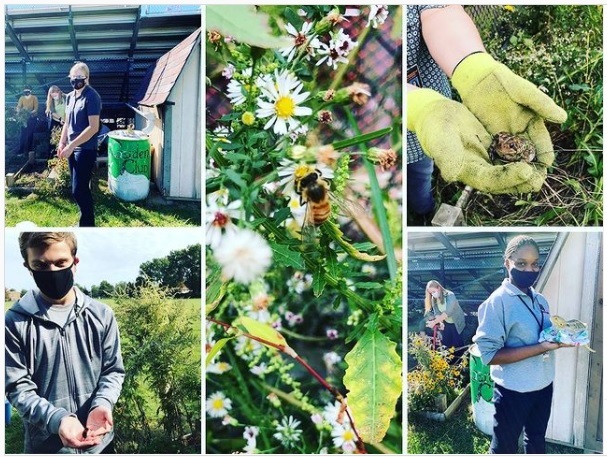 Padua's Garden Becomes Registered Saint Kateri Habitat