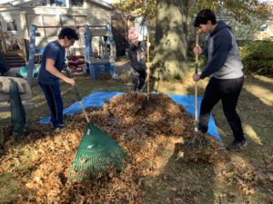 Bruins Rake Leaves for Parma’s Elderly