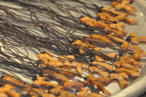 Freshmen Receive Tau Crosses 2022